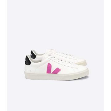 Women's Veja CAMPO CHROMEFREE Low Tops Sneakers White/Purple | ZA 597FDN